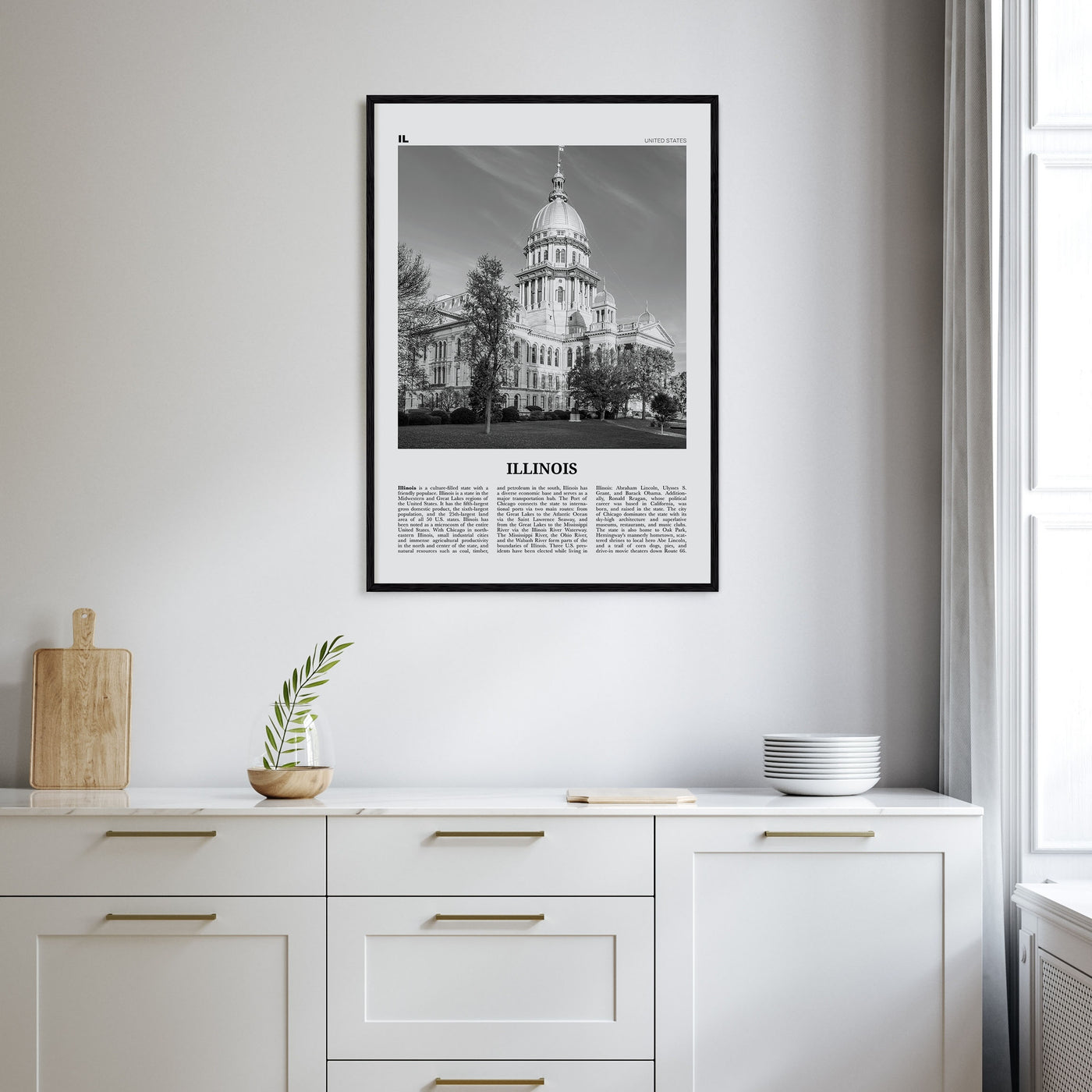 Illinois Travel B&W No 3 Poster