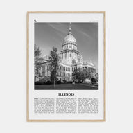 Illinois Travel B&W No 3 Poster