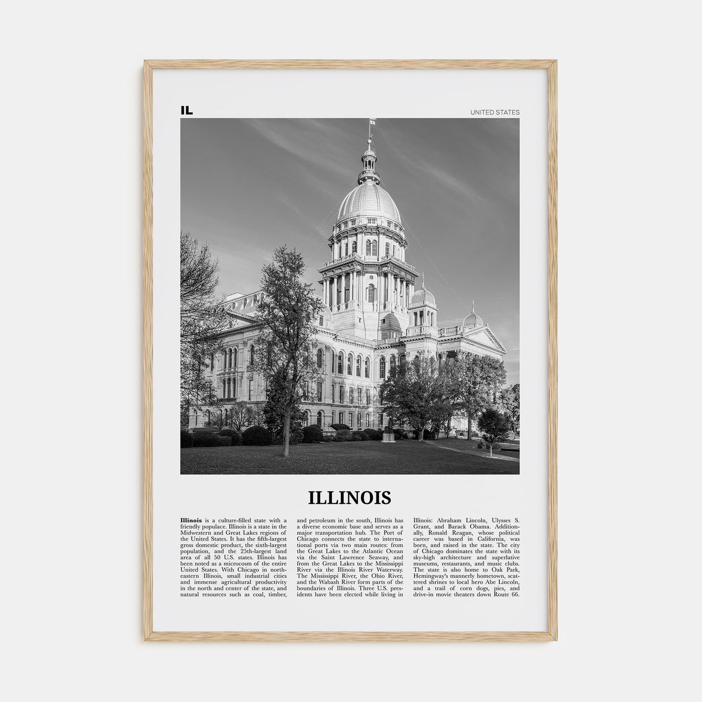 Illinois Travel B&W No 3 Poster