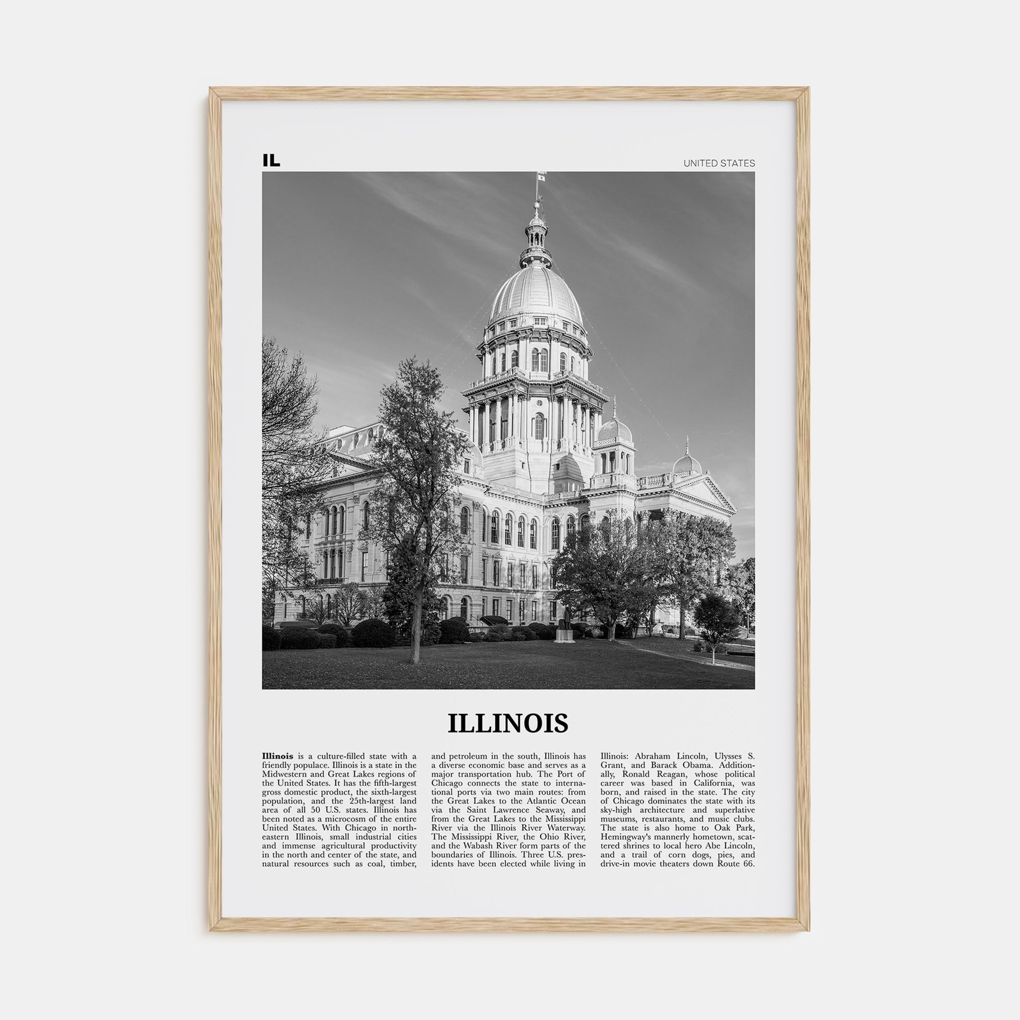 Illinois Travel B&W No 3 Poster