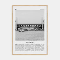 Illinois Travel B&W No 4 Poster