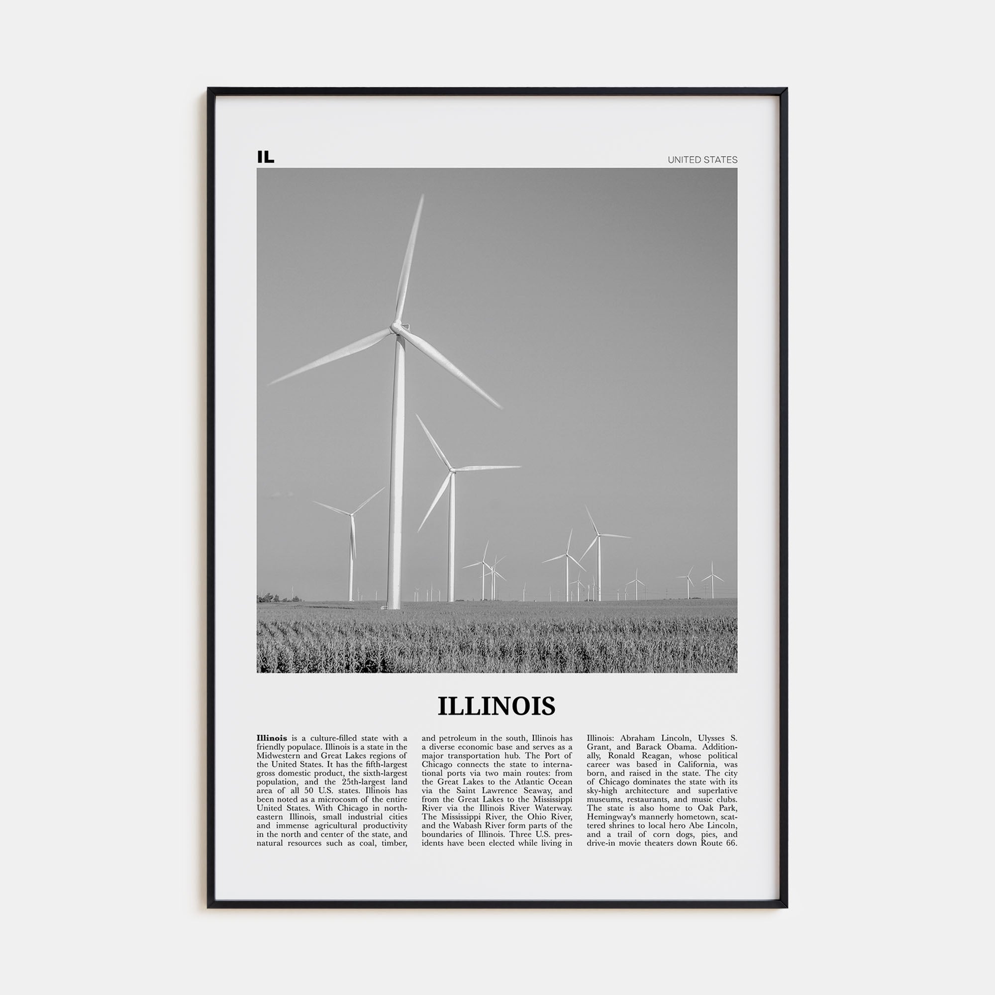Illinois Travel B&W No 5 Poster
