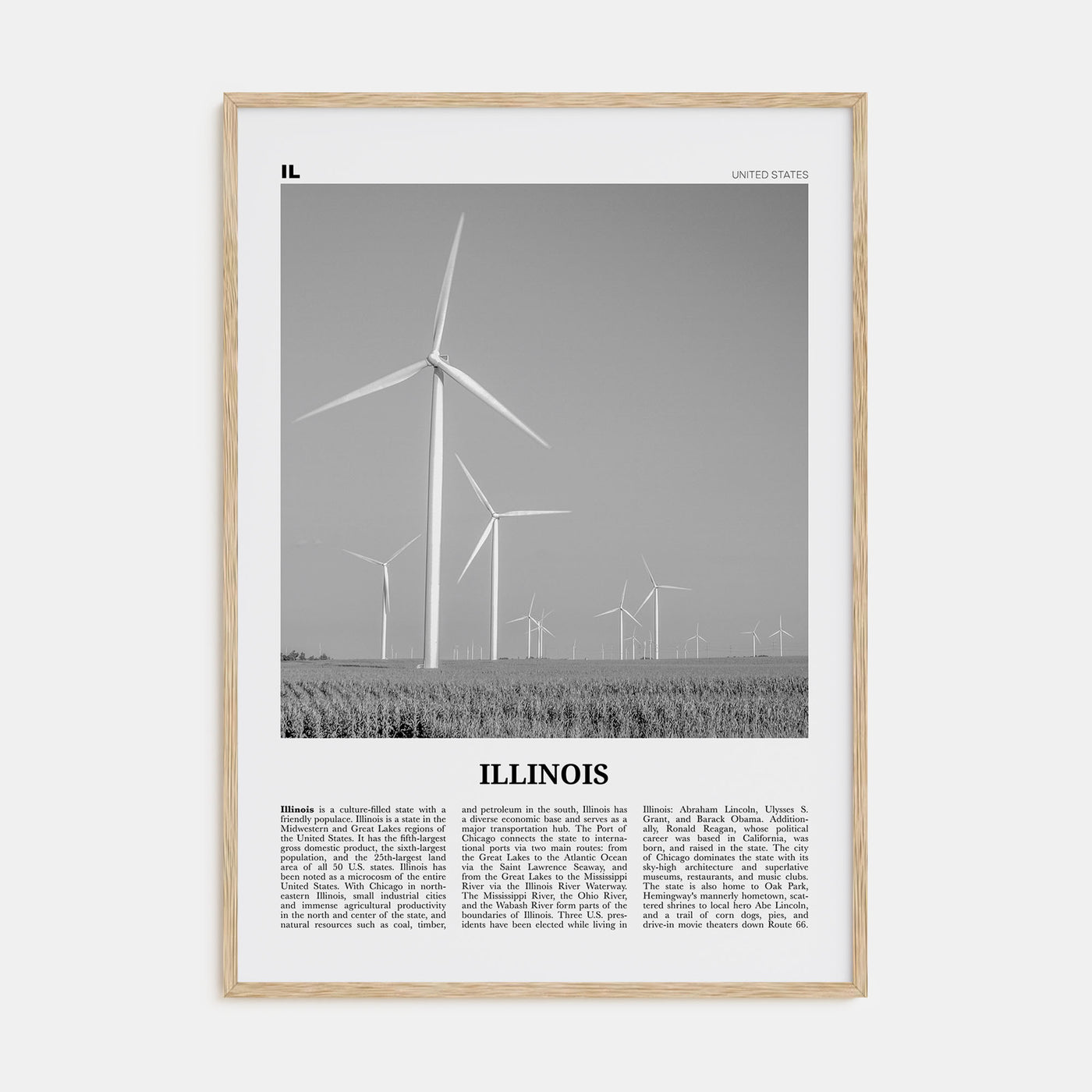 Illinois Travel B&W No 5 Poster