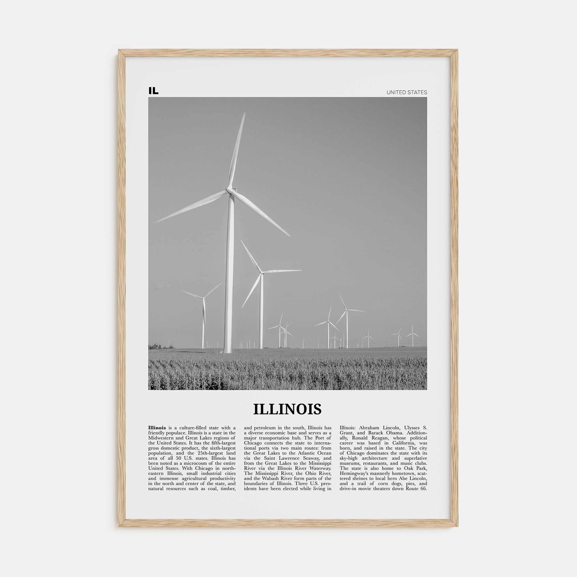 Illinois Travel B&W No 5 Poster