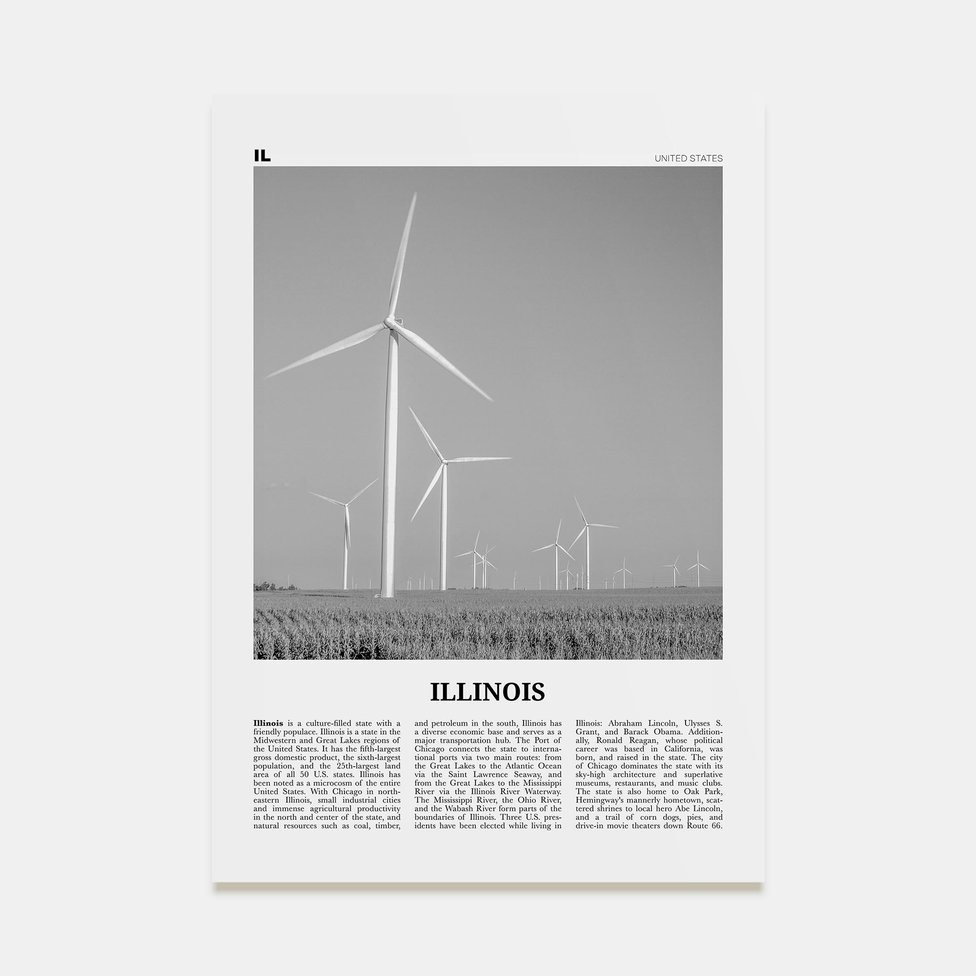Illinois Travel B&W No 5 Poster