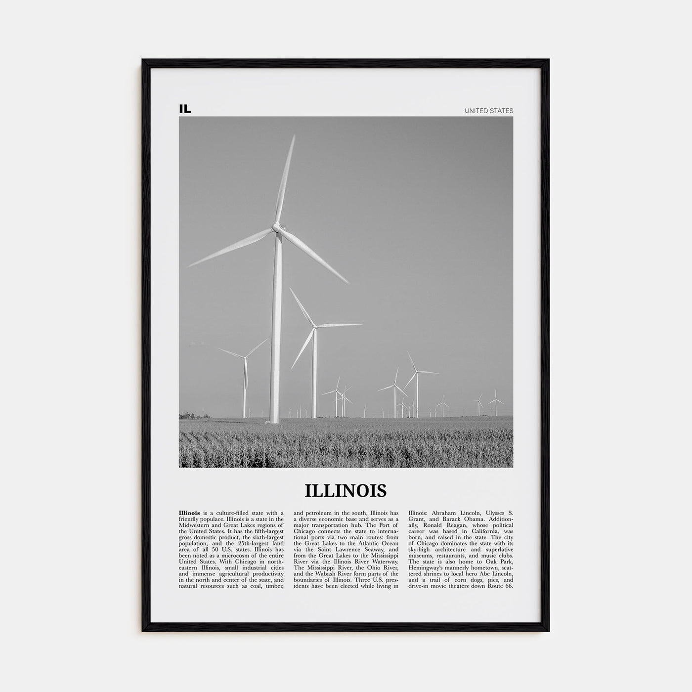 Illinois Travel B&W No 5 Poster