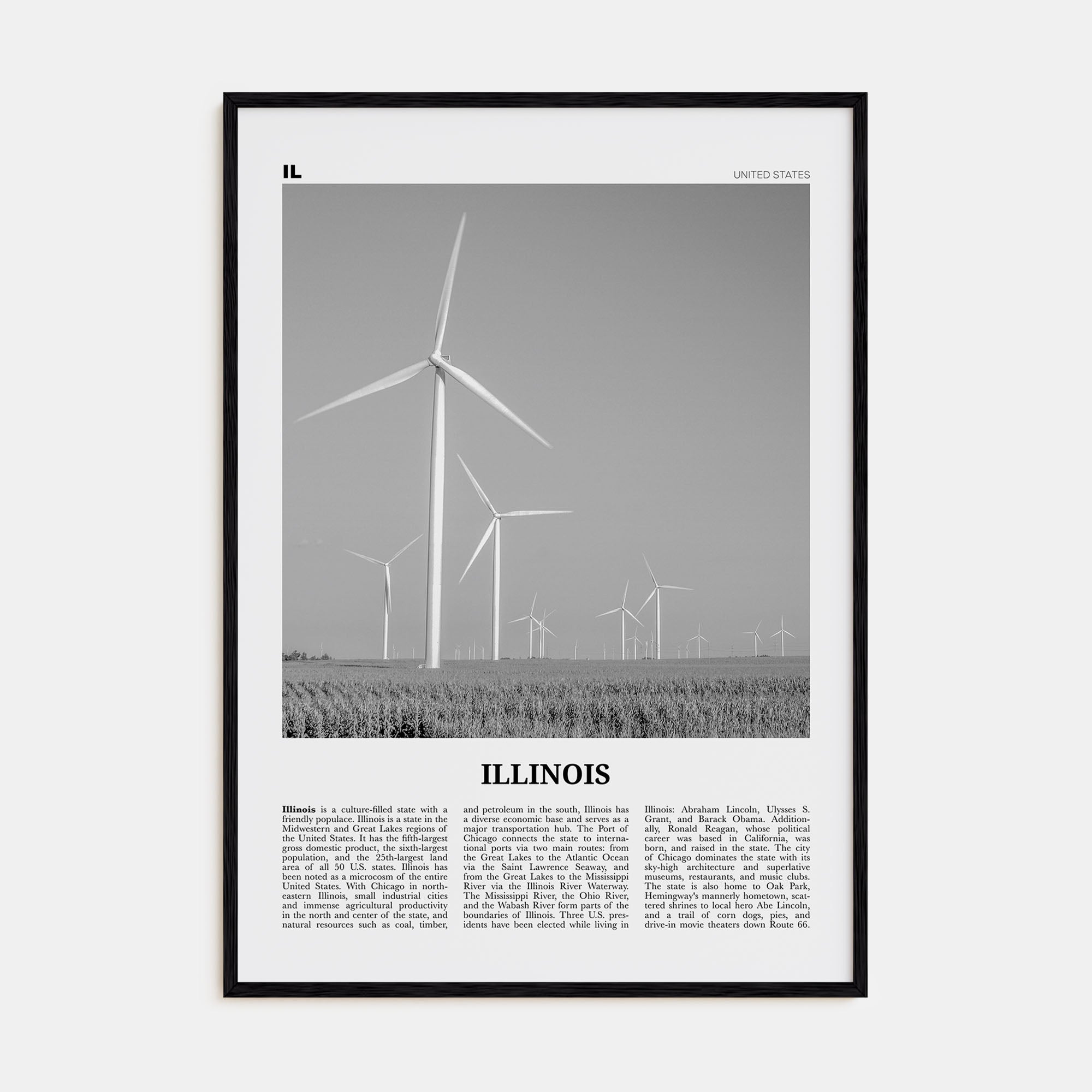 Illinois Travel B&W No 5 Poster