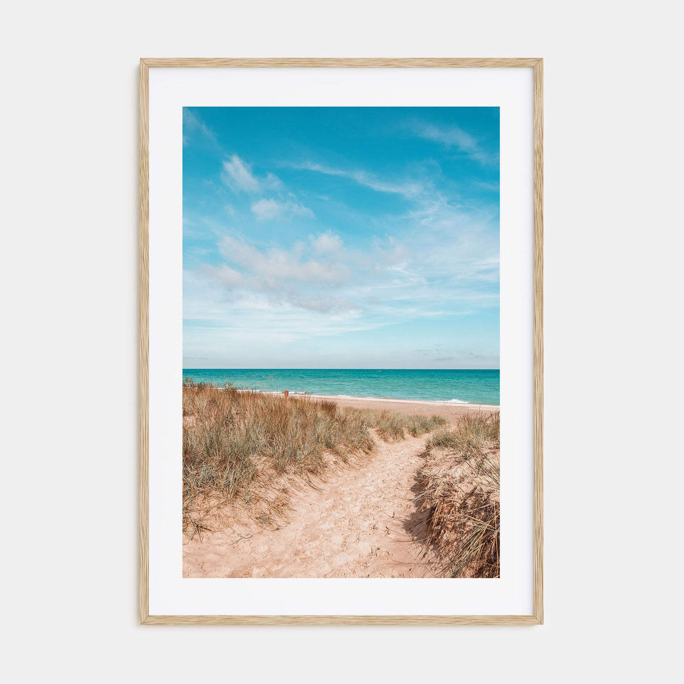 Indiana Photo Color Poster