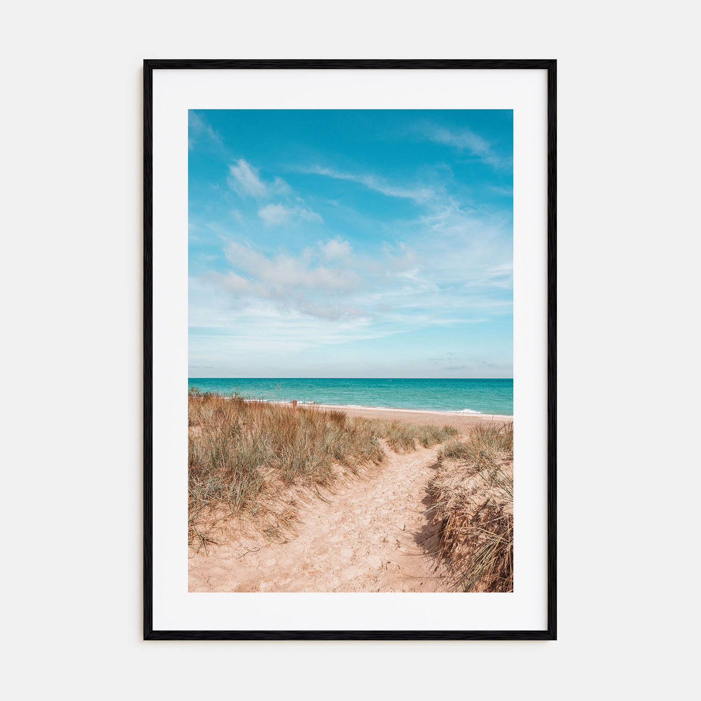 Indiana Photo Color Poster