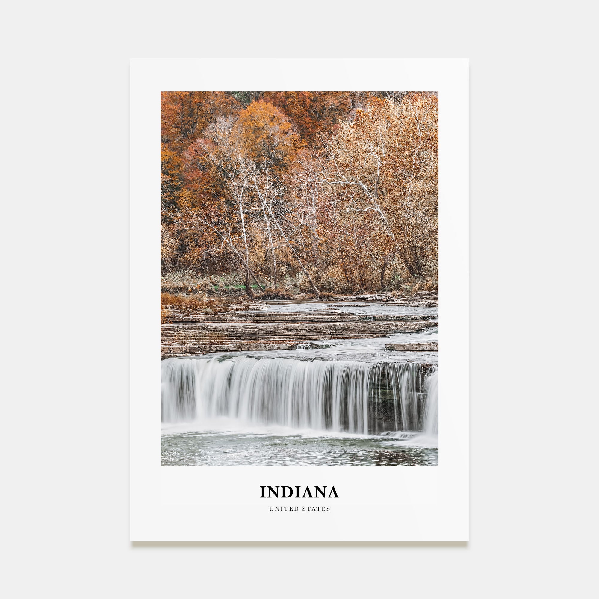 Indiana Portrait Color Poster