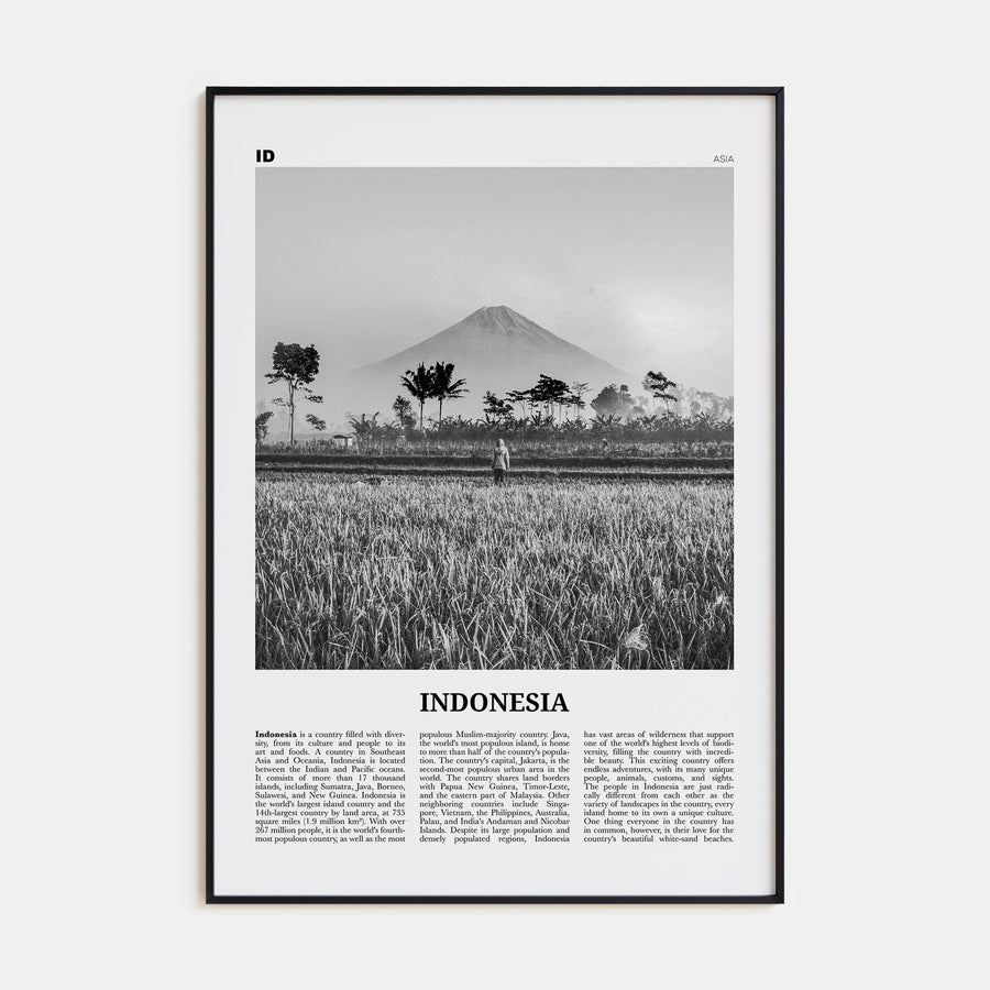 Indonesia Travel B&W No 1 Poster