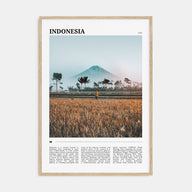 Indonesia Travel Color Poster