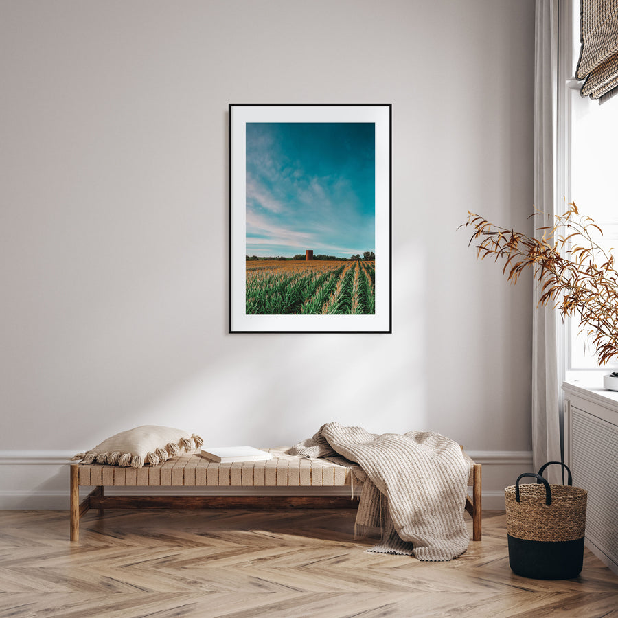 Iowa Photo Color Poster