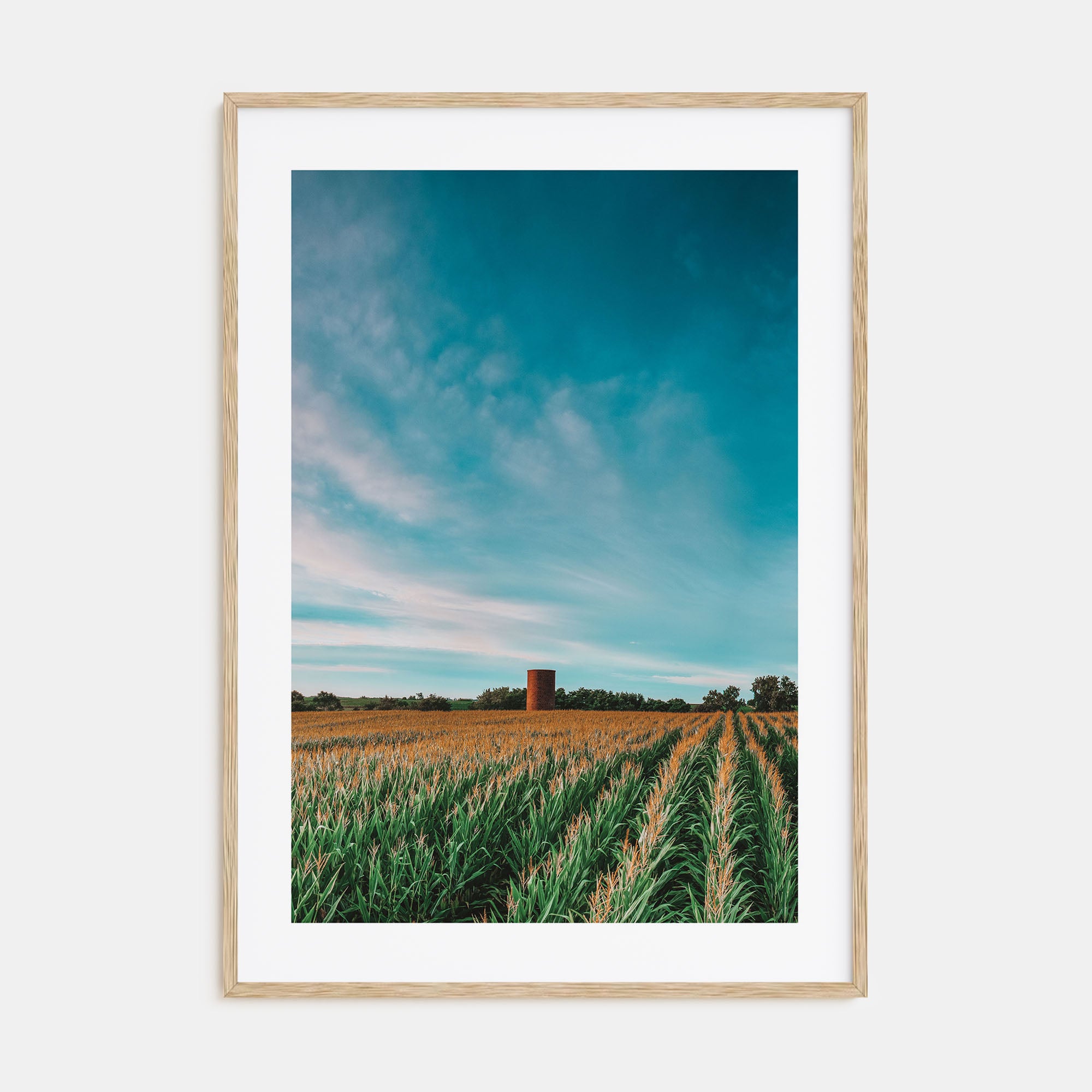 Iowa Photo Color Poster