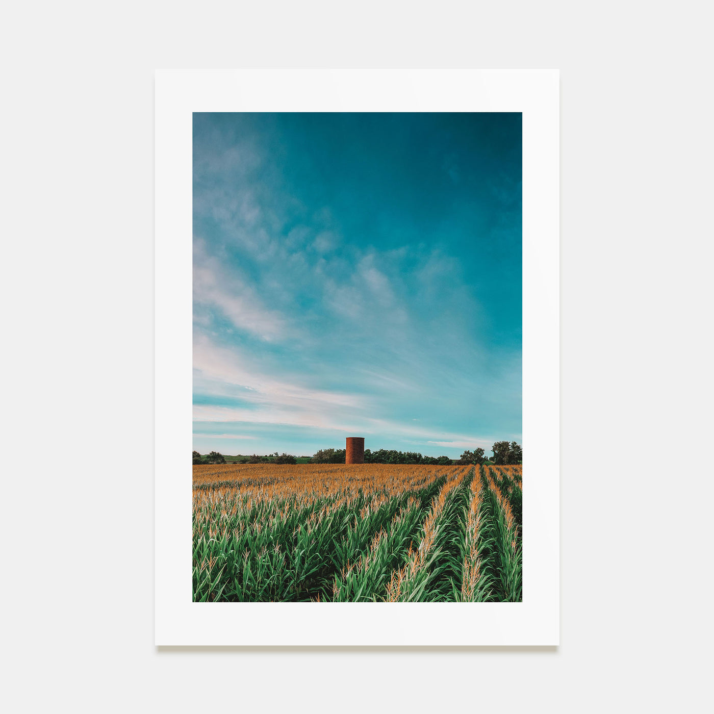 Iowa Photo Color Poster