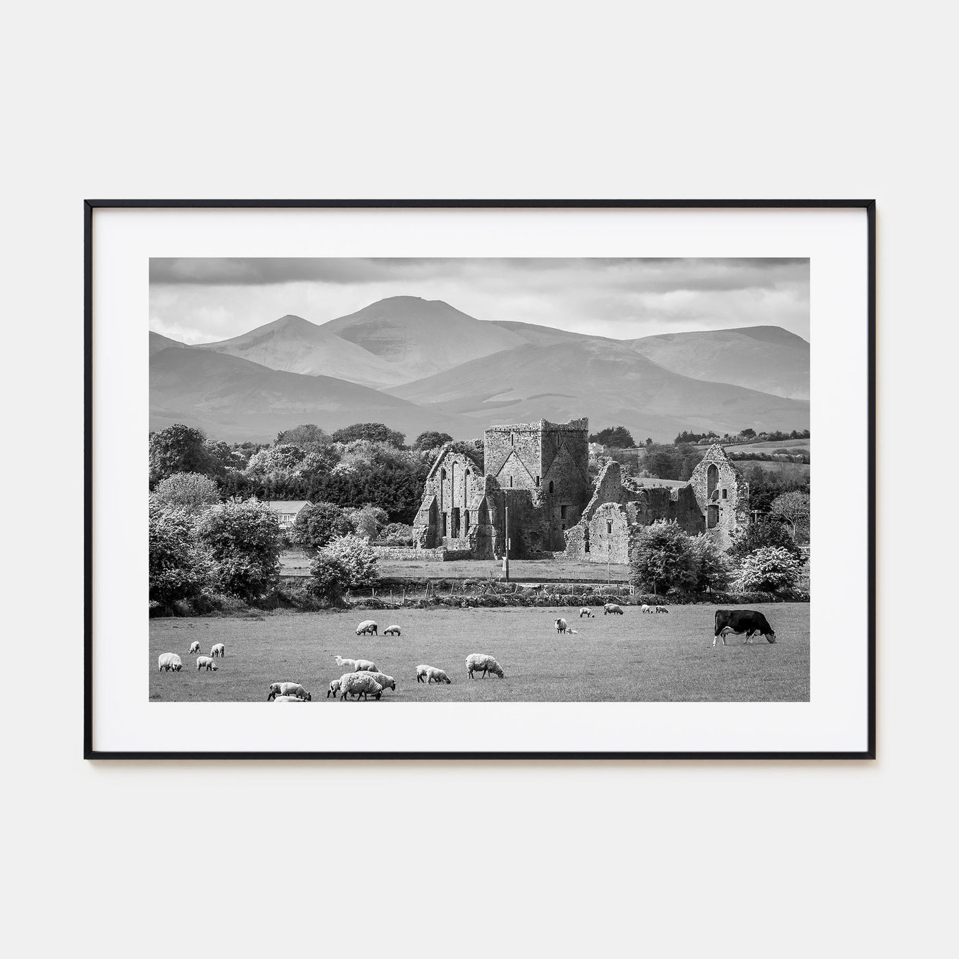 Ireland Landscape B&W Poster