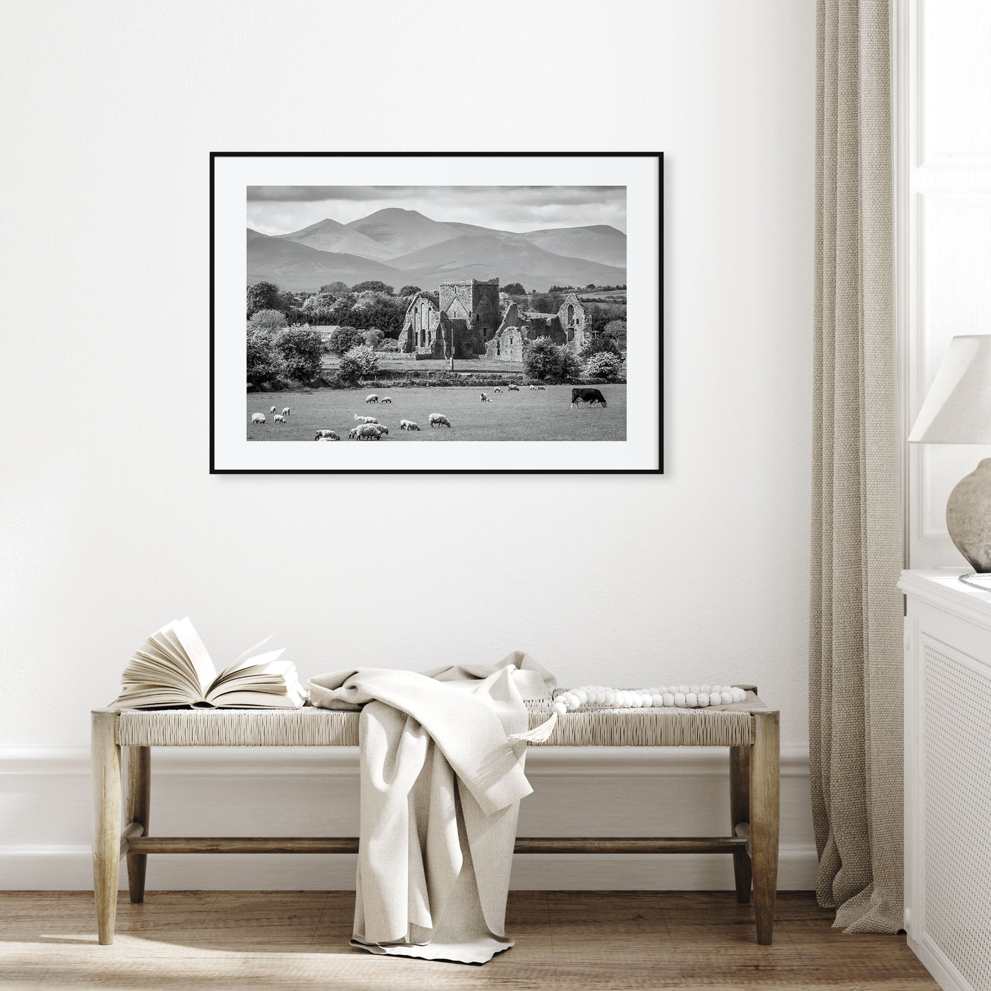 Ireland Landscape B&W Poster