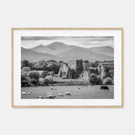 Ireland Landscape B&W Poster