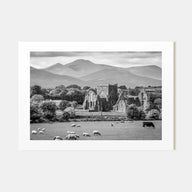 Ireland Landscape B&W Poster