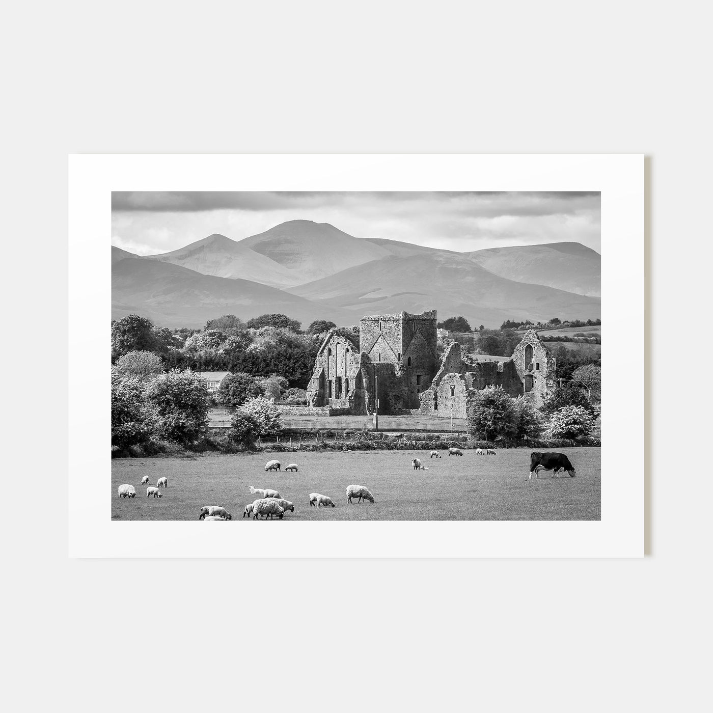 Ireland Landscape B&W Poster