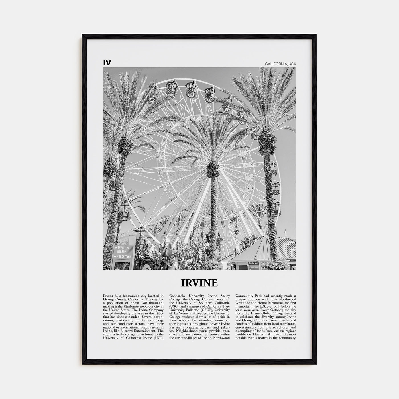 Irvine Travel B&W No 1 Poster