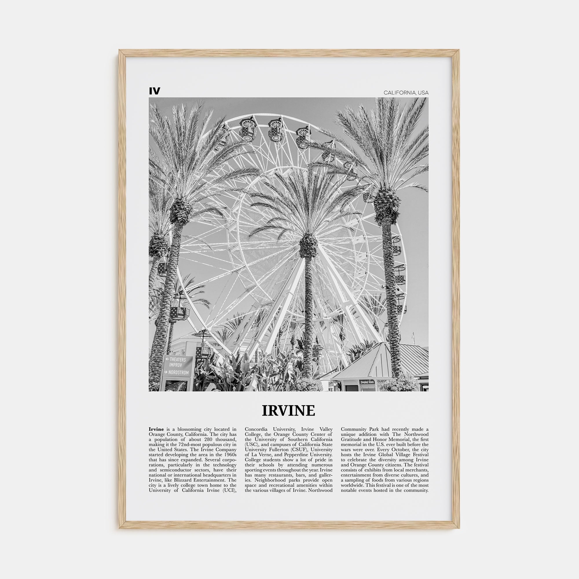 Irvine Travel B&W No 1 Poster