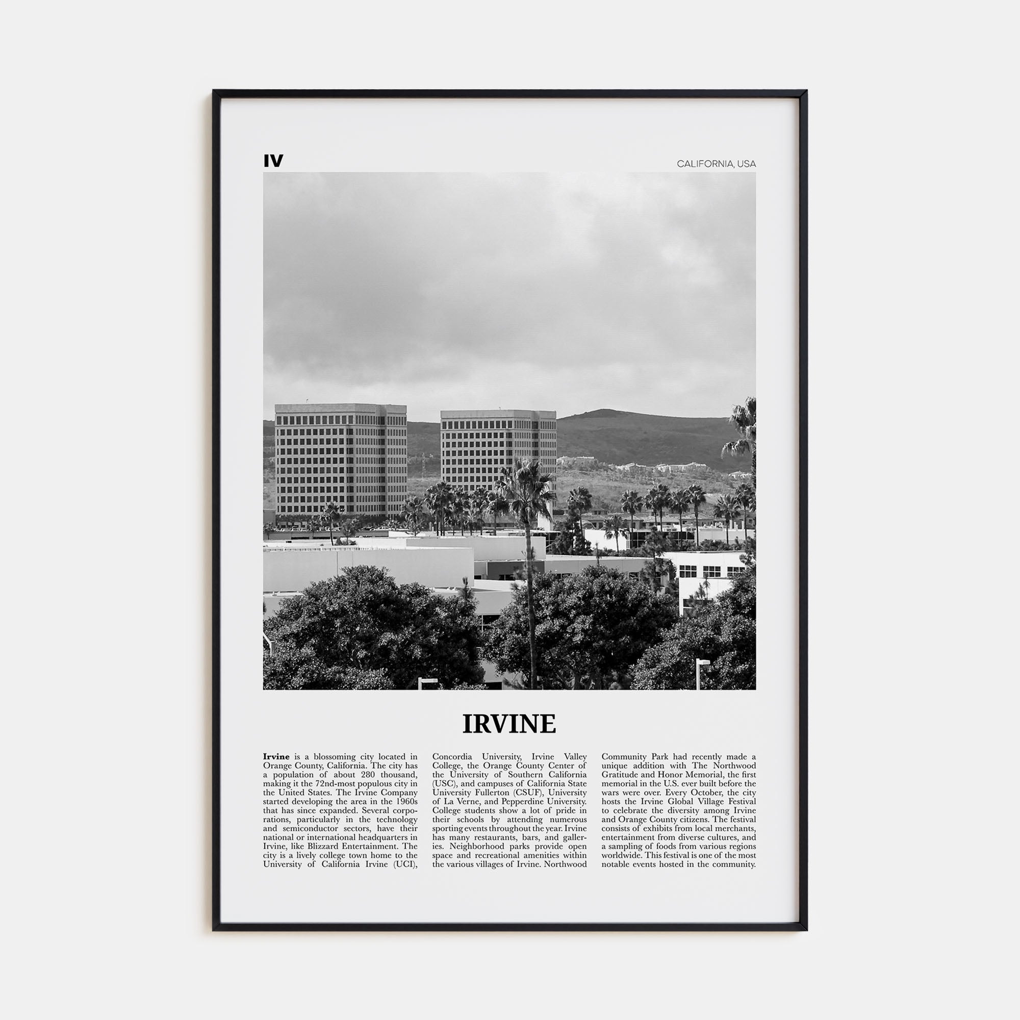 Irvine Travel B&W No 2 Poster