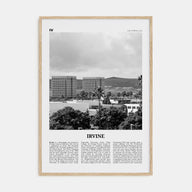 Irvine Travel B&W No 2 Poster