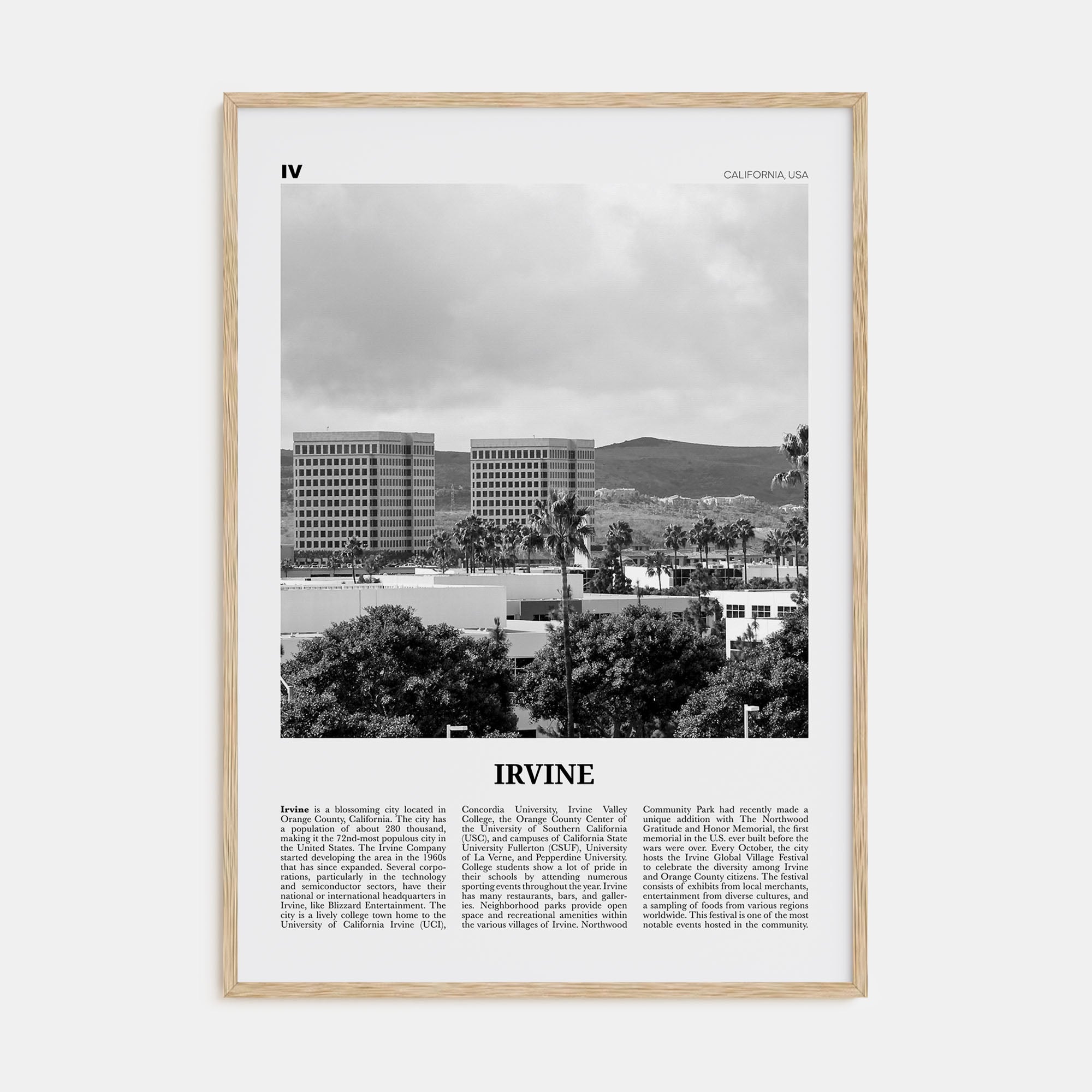 Irvine Travel B&W No 2 Poster