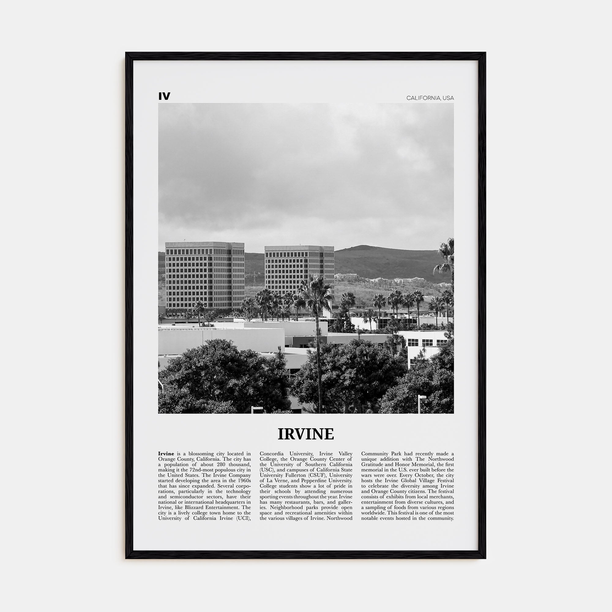 Irvine Travel B&W No 2 Poster