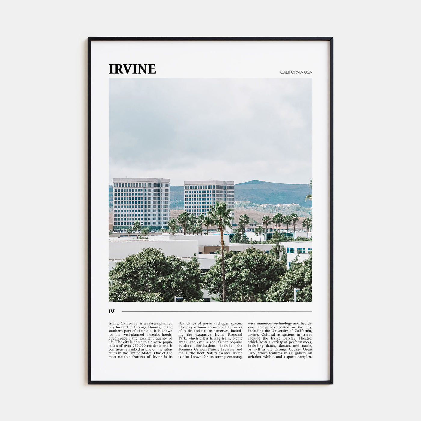 Irvine Travel Color Poster