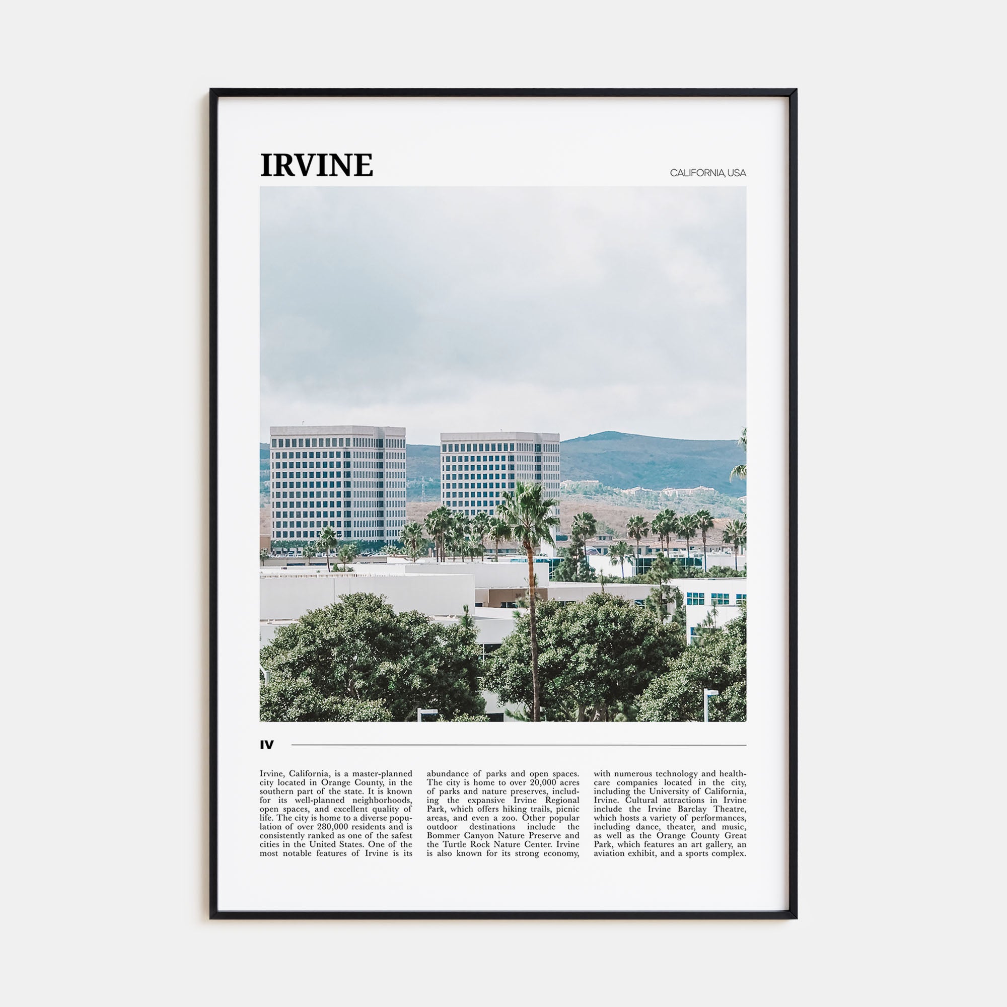 Irvine Travel Color Poster