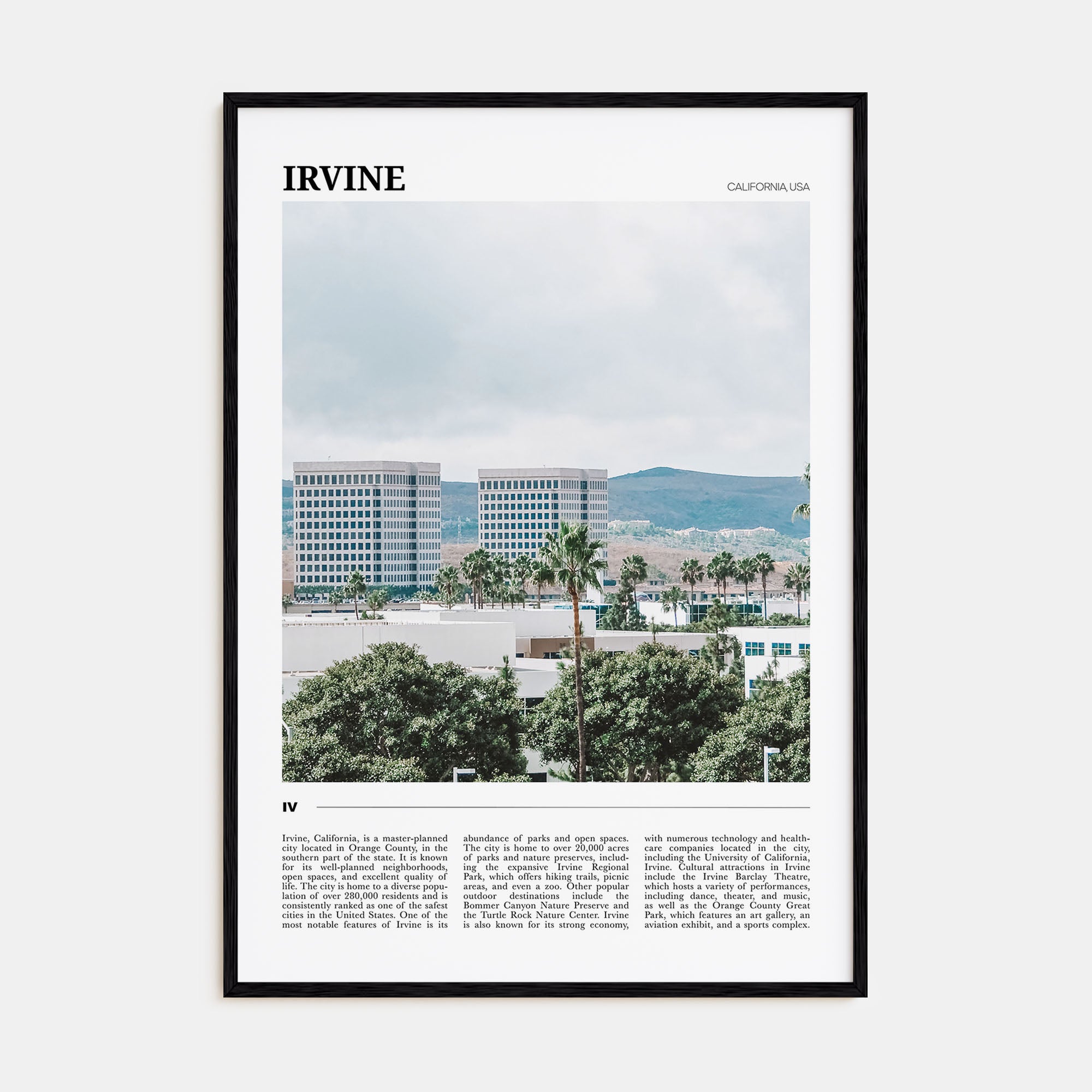 Irvine Travel Color Poster