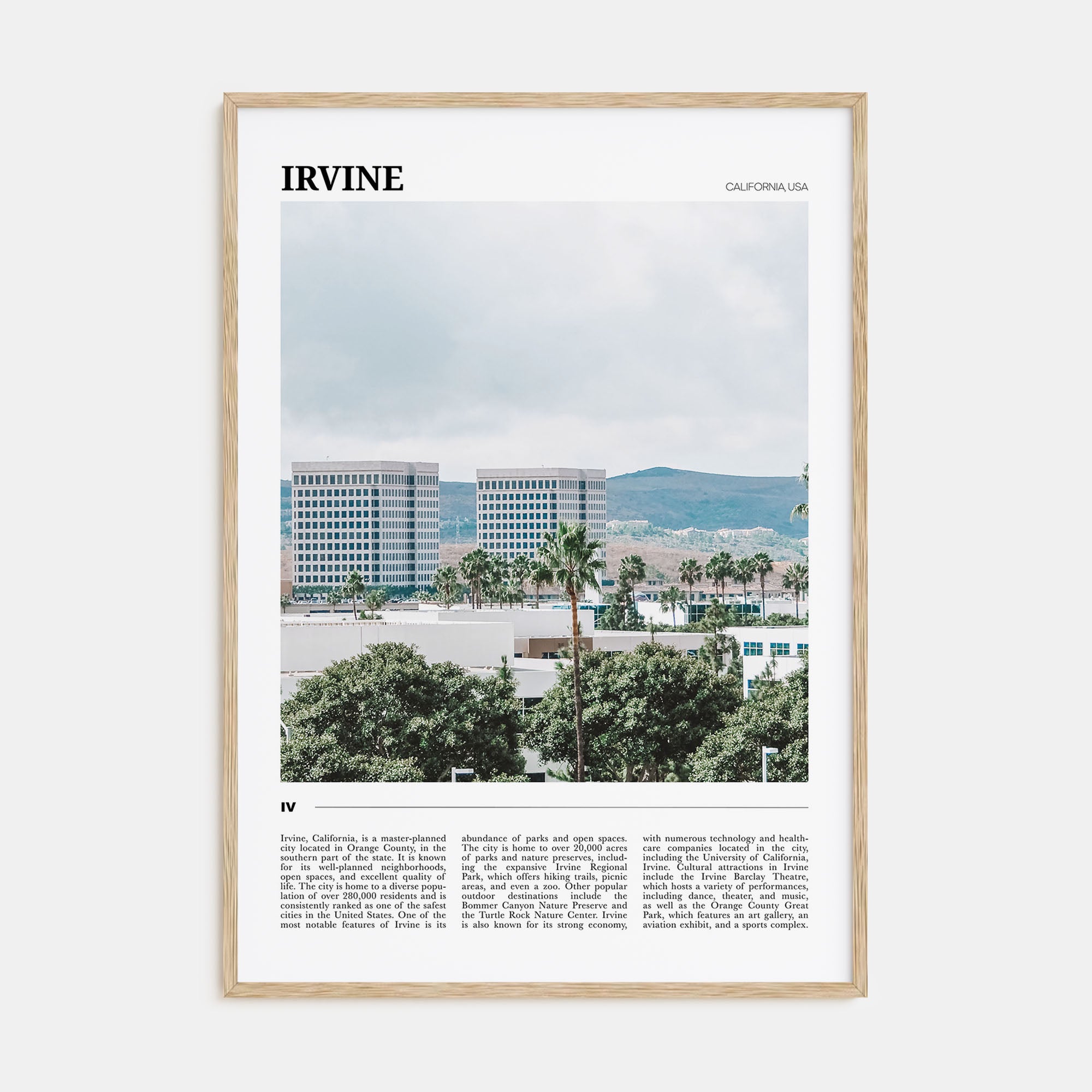Irvine Travel Color Poster