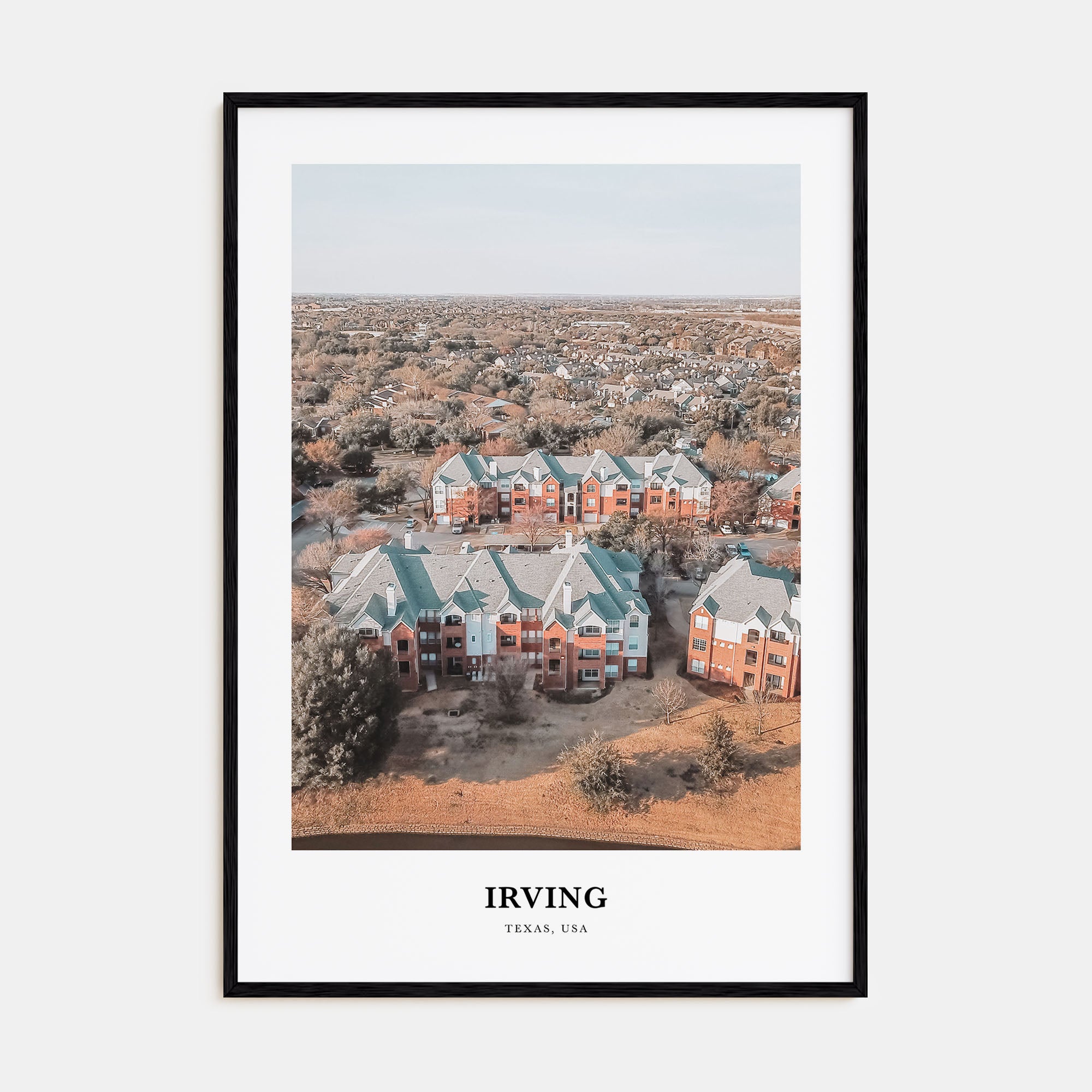 Irving Portrait Color Poster