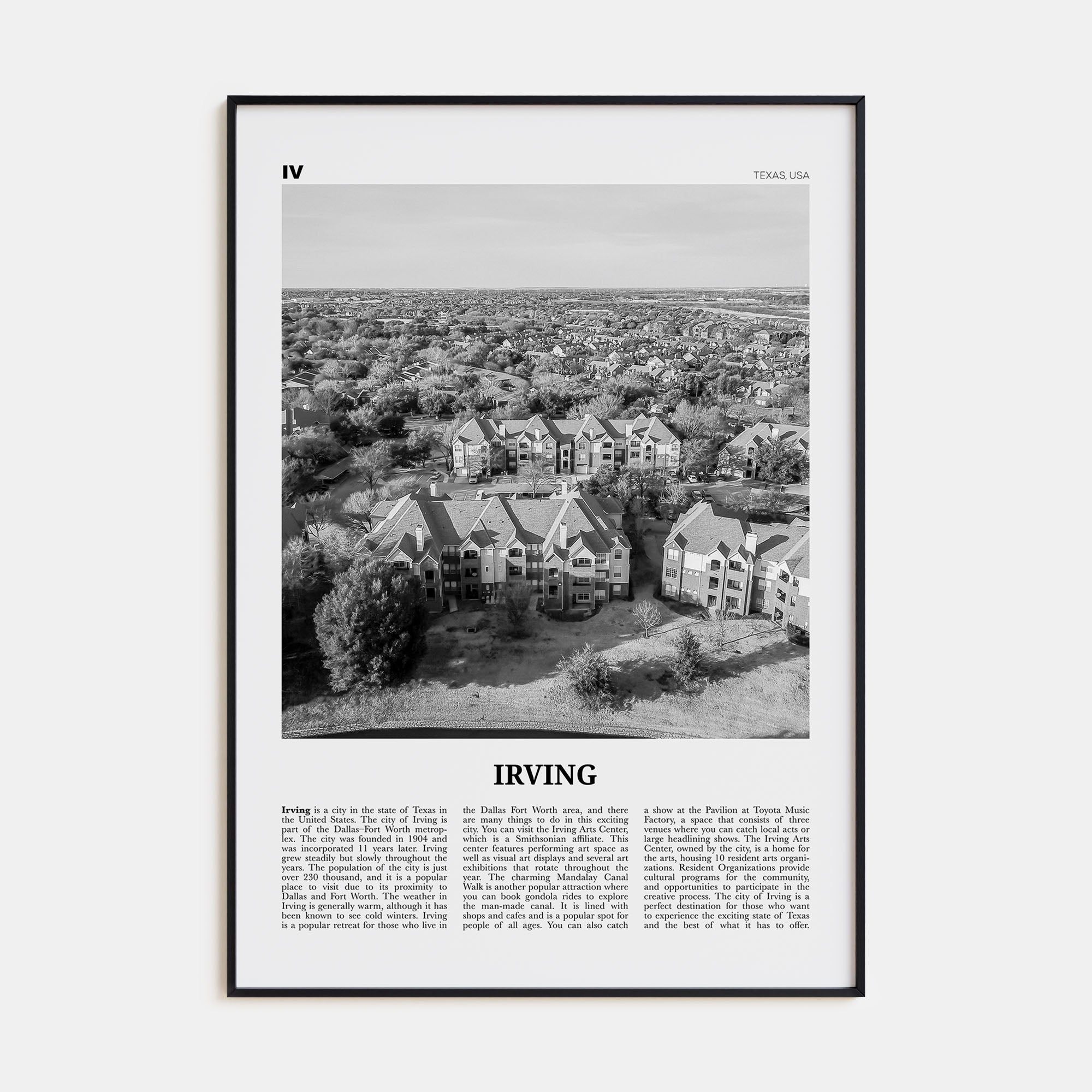 Irving Travel B&W Poster