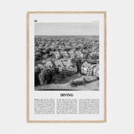 Irving Travel B&W Poster