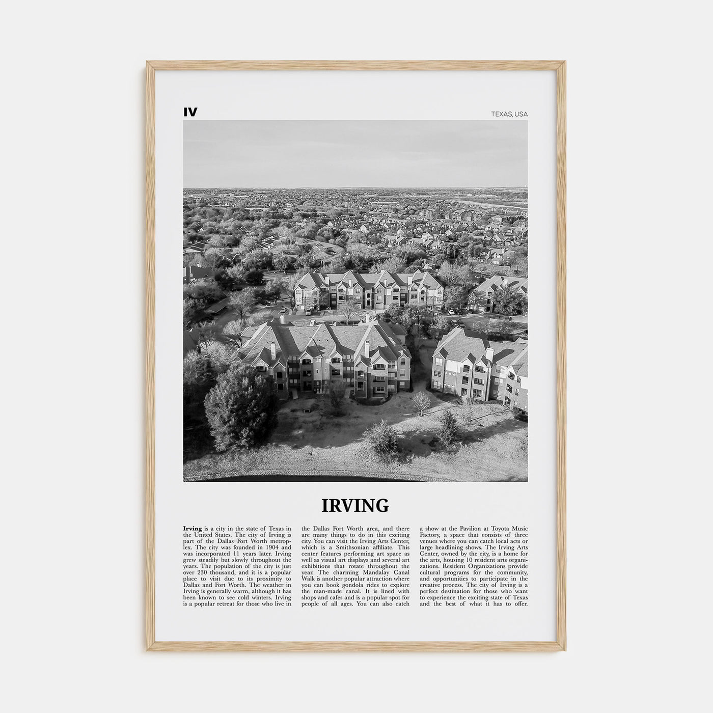 Irving Travel B&W Poster