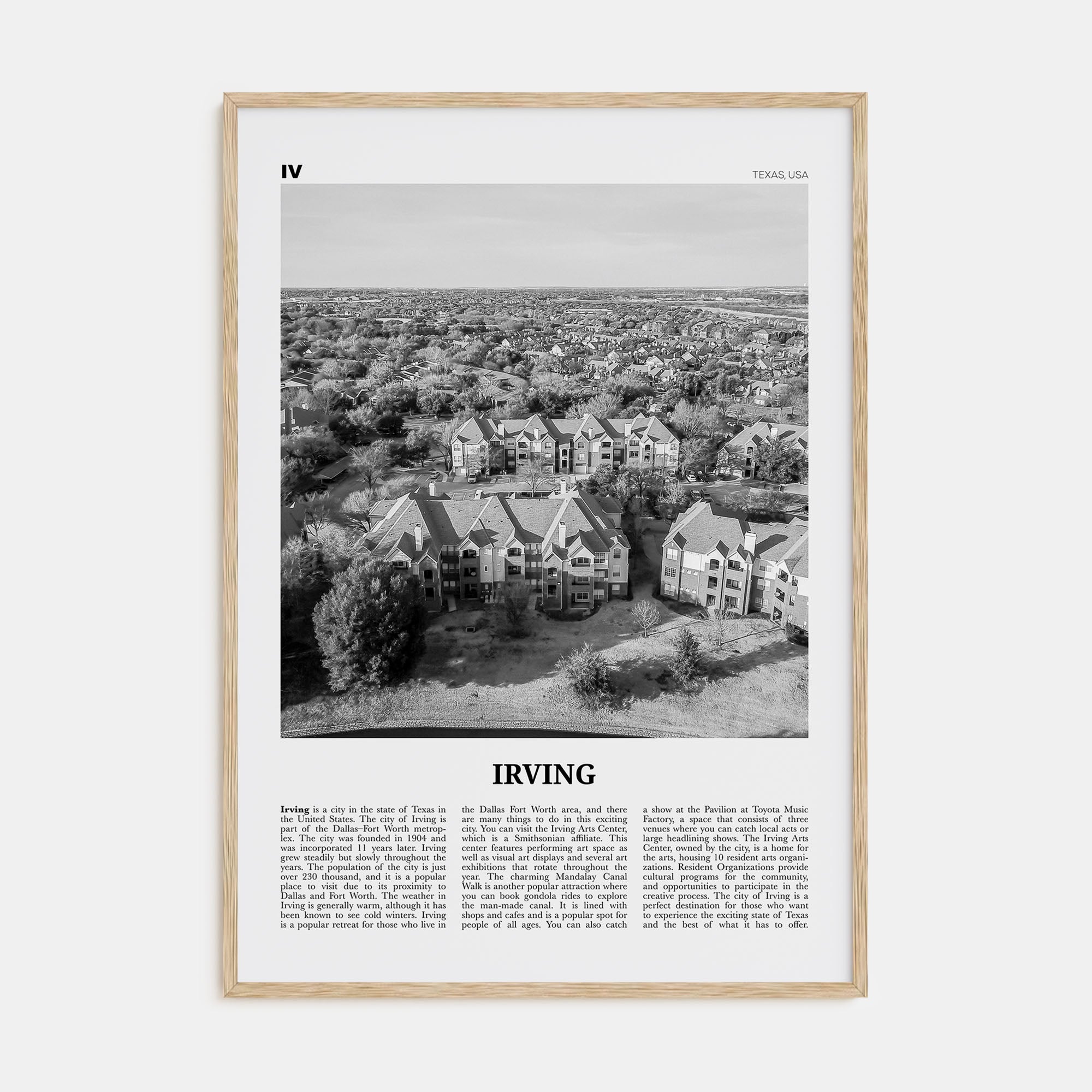 Irving Travel B&W Poster