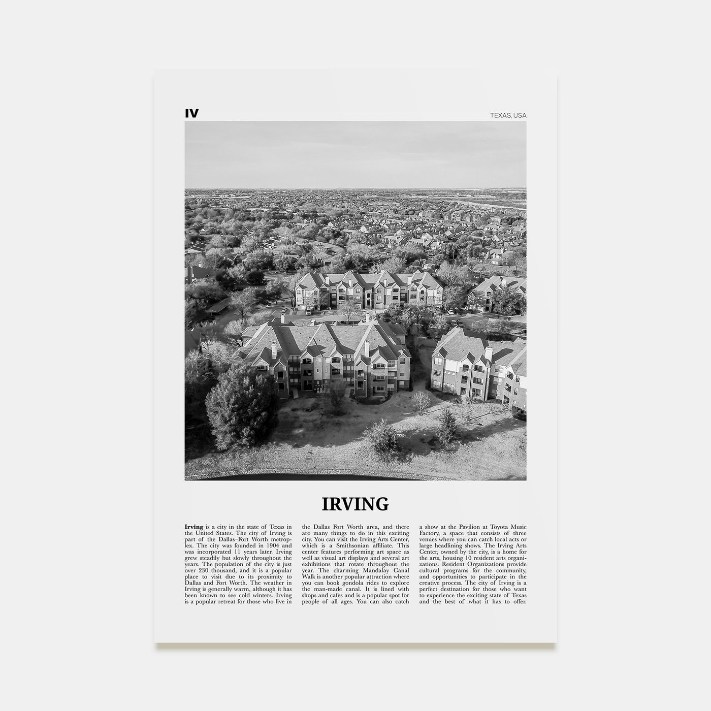 Irving Travel B&W Poster