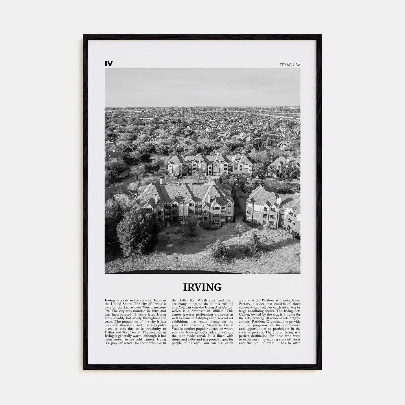 Irving Travel B&W Poster