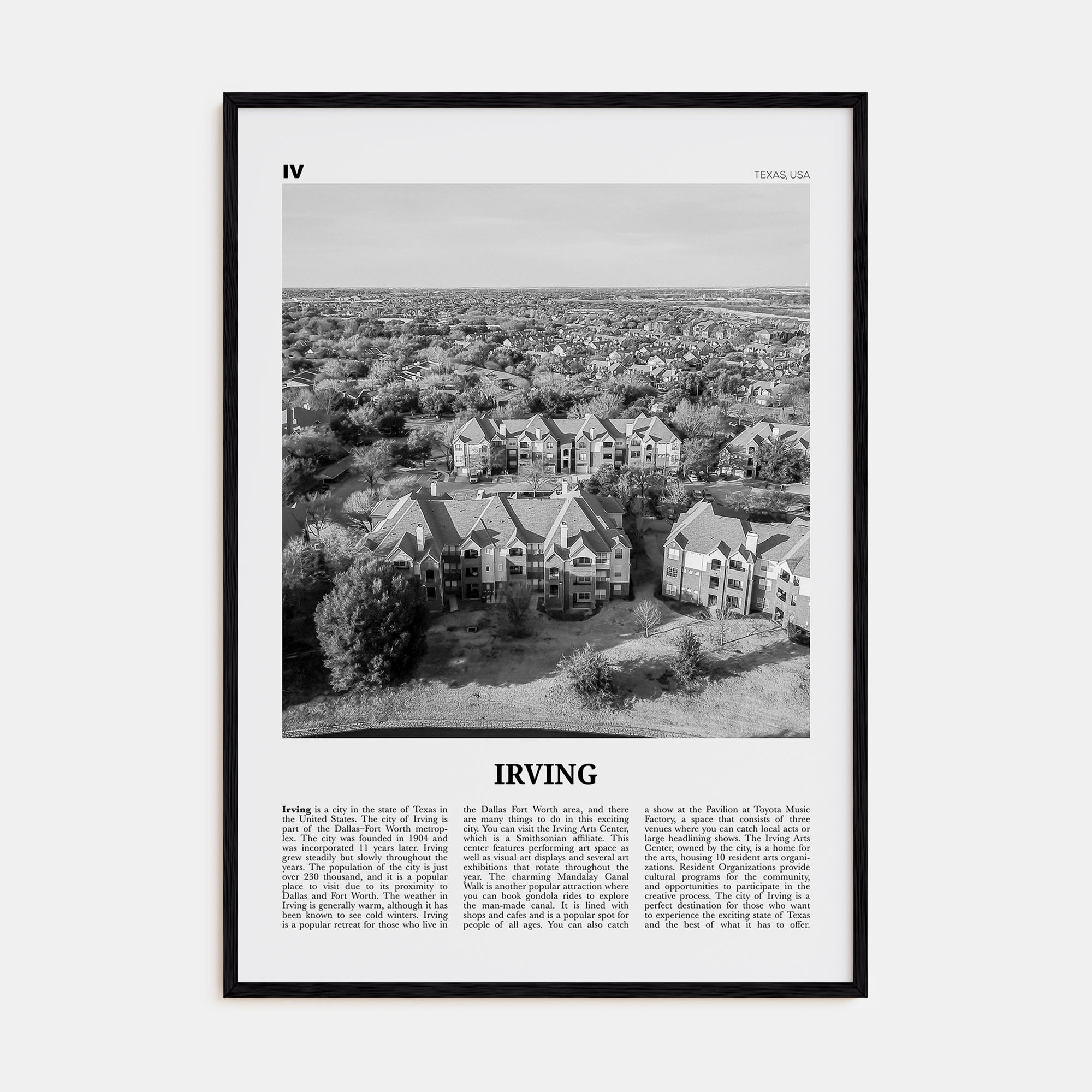 Irving Travel B&W Poster