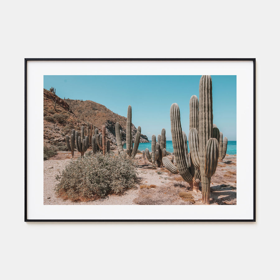 Isla Vista Landscape Color Poster