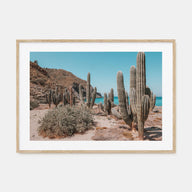 Isla Vista Landscape Color Poster