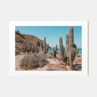 Isla Vista Landscape Color Poster