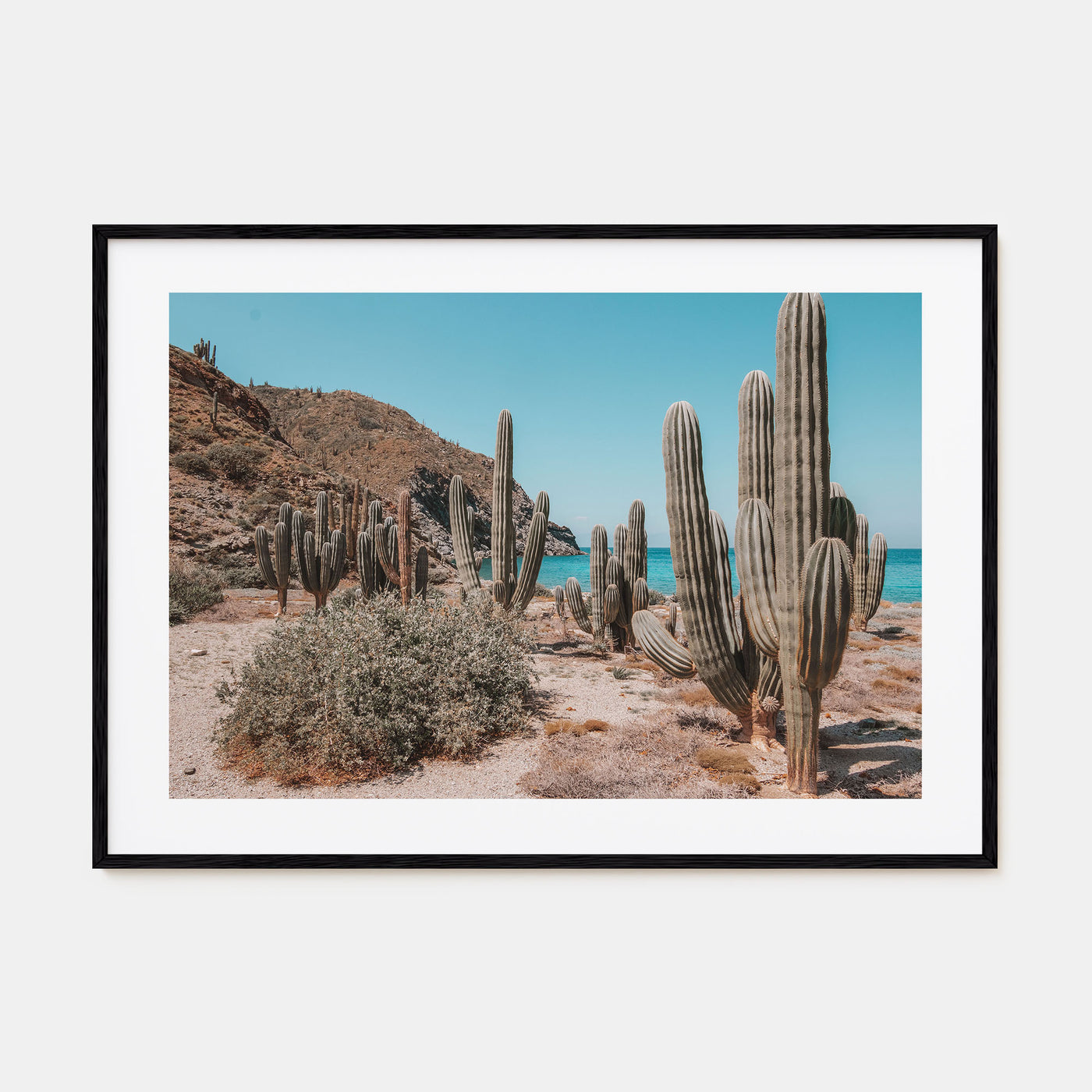 Isla Vista Landscape Color Poster