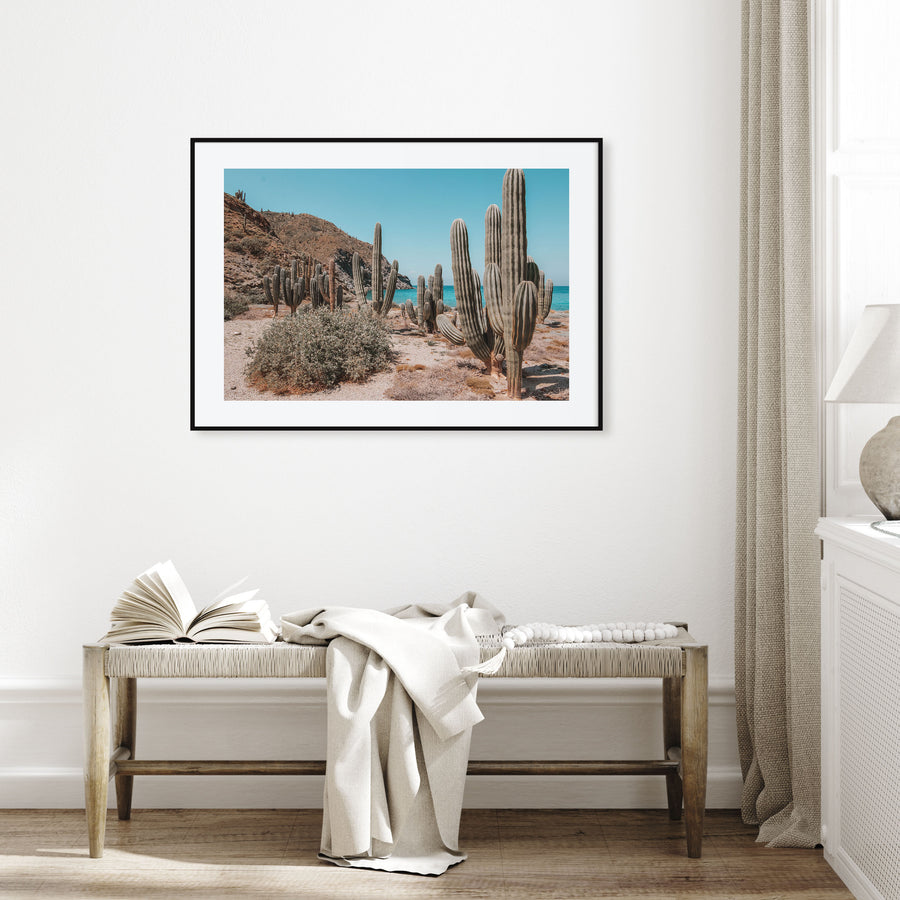 Isla Vista Landscape Color Poster