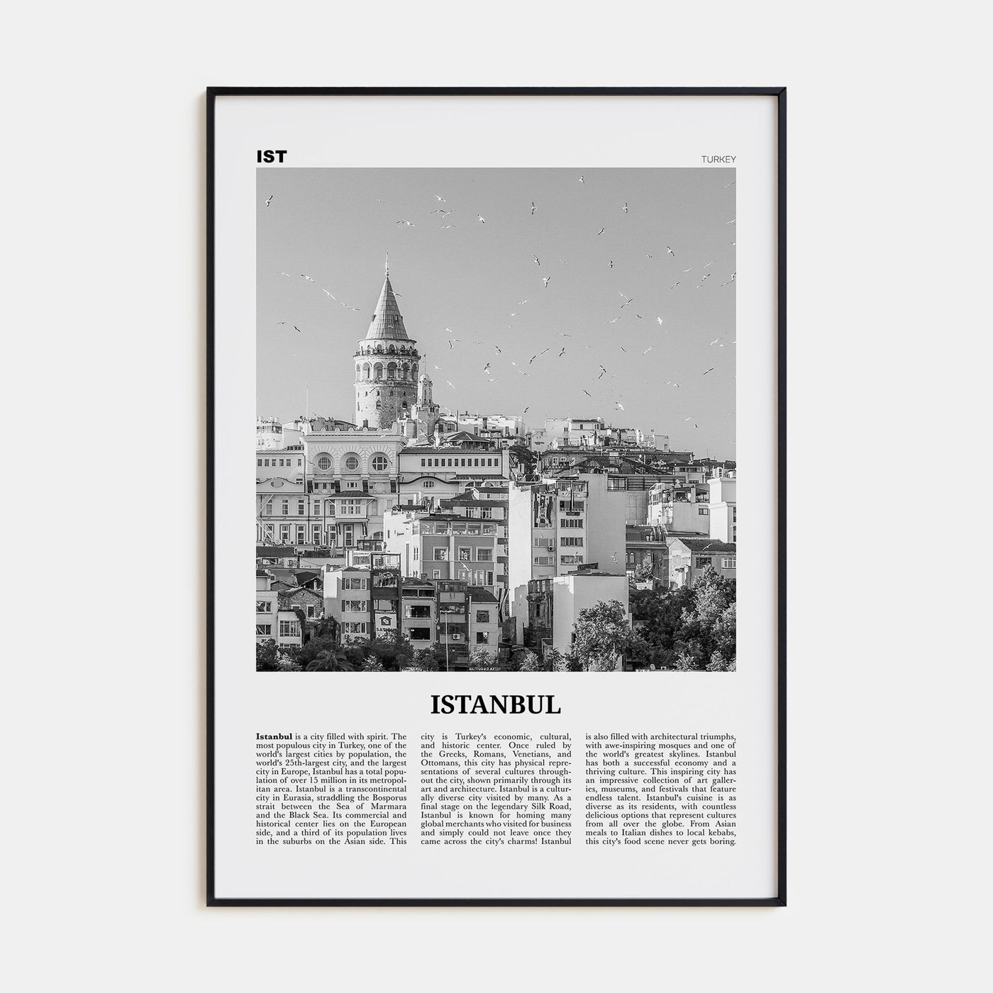 Istanbul Travel B&W No 2 Poster