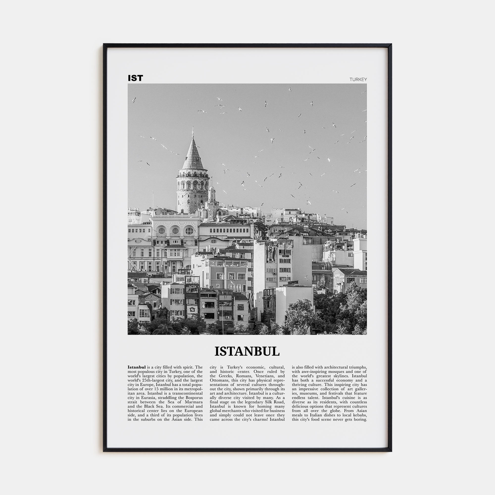 Istanbul Travel B&W No 2 Poster