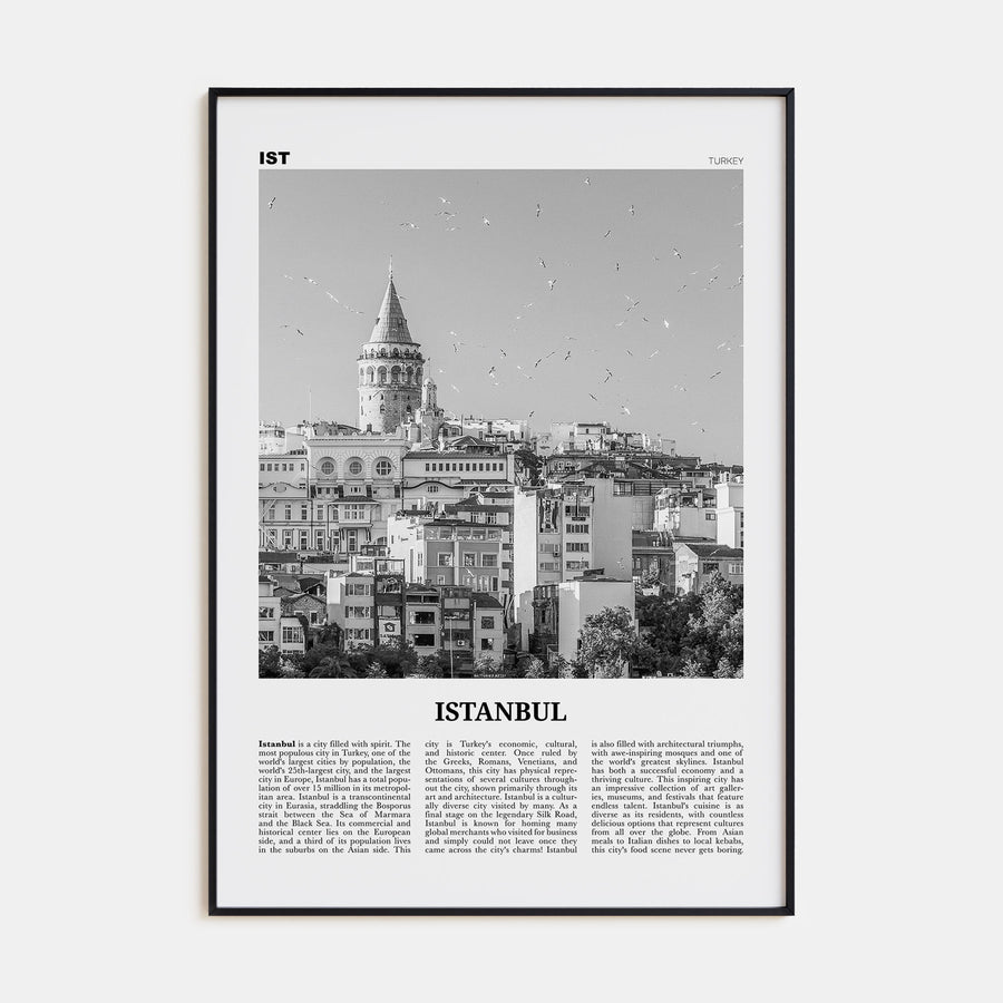 Istanbul Travel B&W No 2 Poster